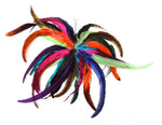 FEATHER CARNIVAL SPIRAL EARRING