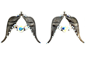 Descriptive image text